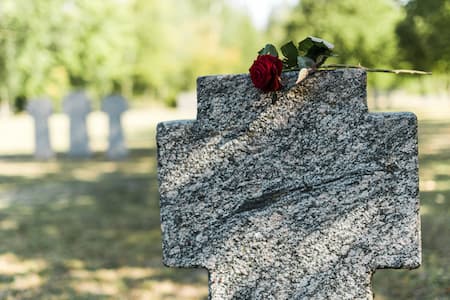 Stories in Stone: How Monument Cleaning Preserves History Thumbnail