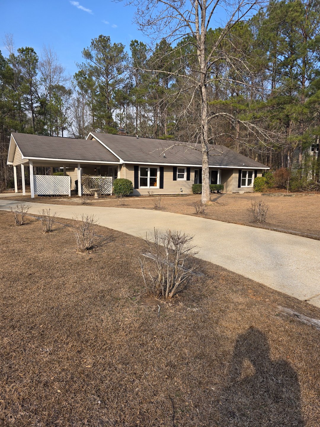 Driveway cleaning in Auburn Al